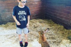 Boy-with-Rabbit