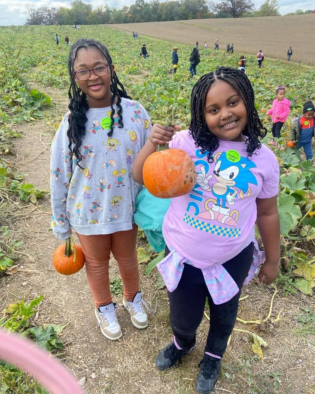 Pumpkin Patch Field Trip